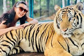 City tour with tiger park  Private tour